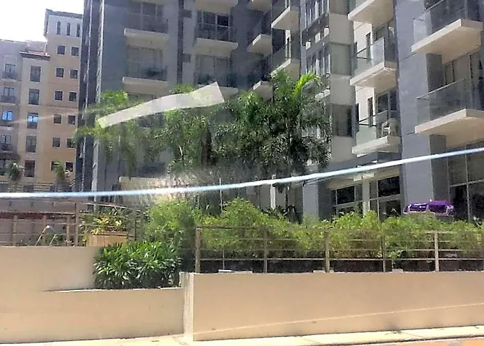Palm Tree Genlex